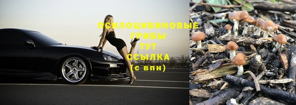 PSILOCYBIN Абдулино