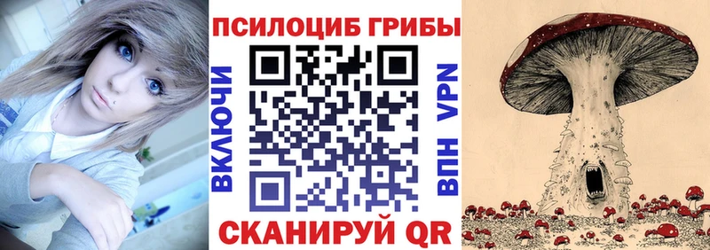 купить наркоту  Алатырь  Псилоцибиновые грибы прущие грибы 