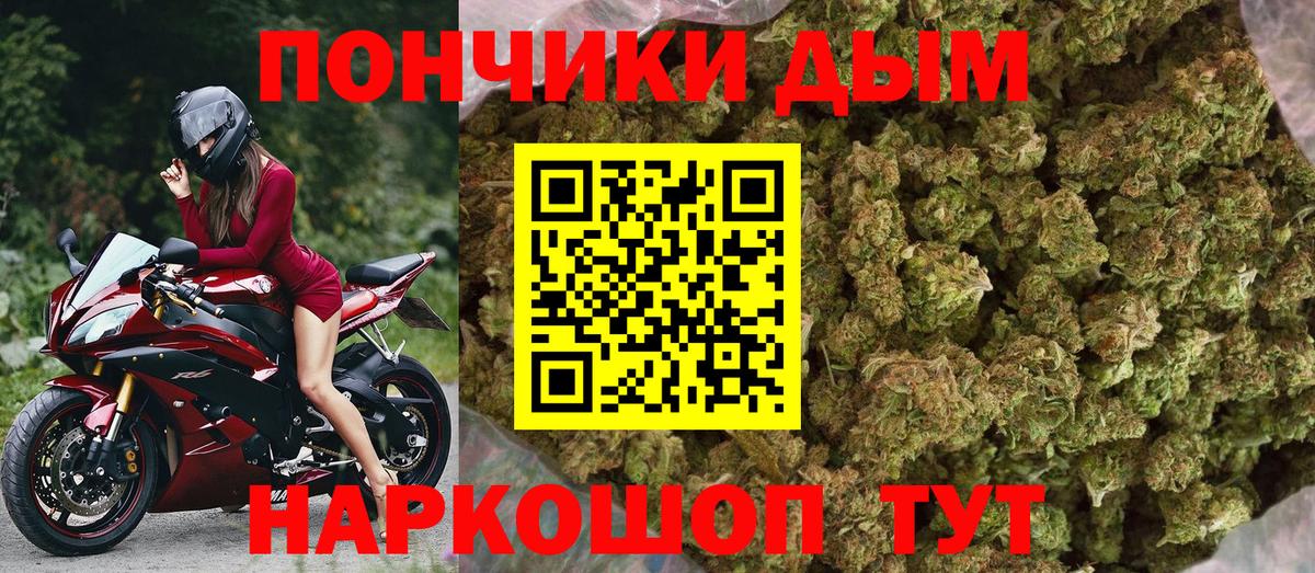 Каннабис планчик  Каннабис семена  Алатырь  Вход с VPN 